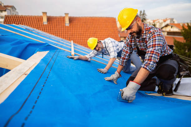 Best Emergency Roof Repair Services  in Bishopville, SC